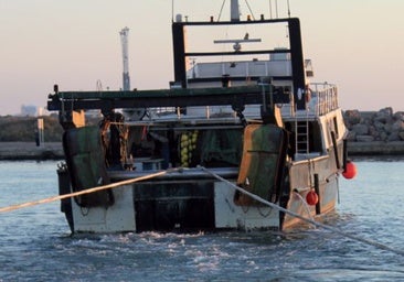 El sector pesquero tilda de «insultante» la propuesta de la UE de los días para faenar